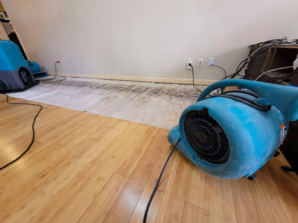 Professional Water Damage Repair technician working in Reedsville, OH